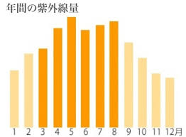 images (1)